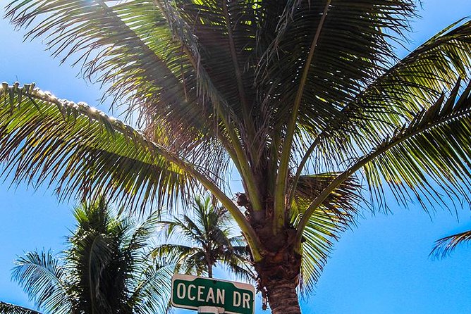 South Beach Golf Cart Tour - Ocean Drive on Four Wheels: Starting at Rosetta Bakery