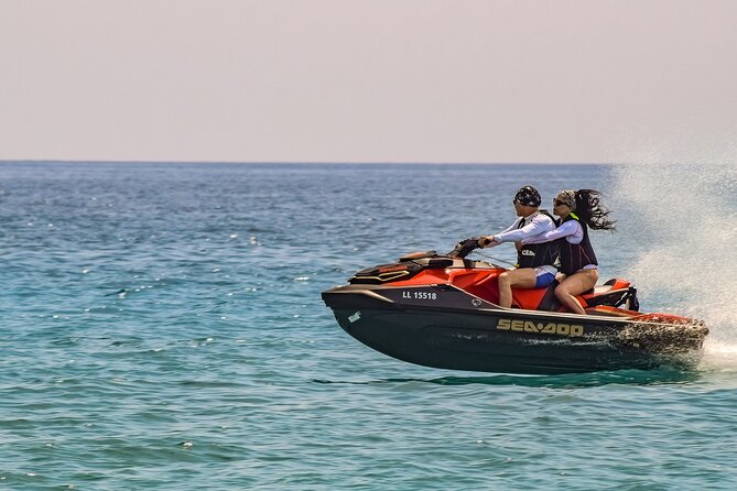 South Beach Jet Ski Rental departs Bayside Marketplace - Marine life chances: how to look without losing control
