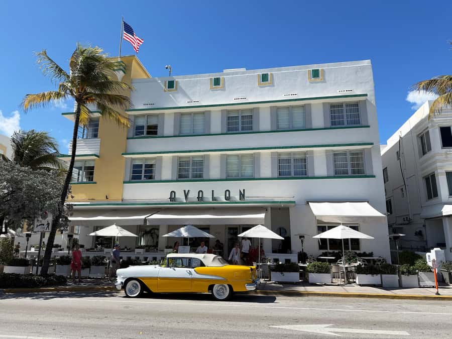 South Beach Sweets Tour: Donuts, Pastelitos, and Patisseries - Walking the neon stretch with a donut map