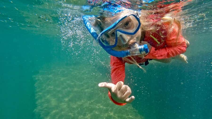 West Palm Beach: Beginner Snorkel Tour with Turtles & Videos - Phil Foster Beach Park: a practical start for first-time snorkelers
