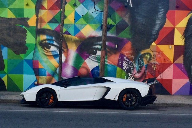 Wynwood French Guided Tour - Street Art - The Mural Fresco Focus: Messages, Freedom, and Artist Intent