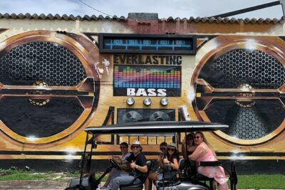 Wynwood Street Art Tour - Artist Lead -VIP Cart - Meet the Artist Guides Behind the Murals