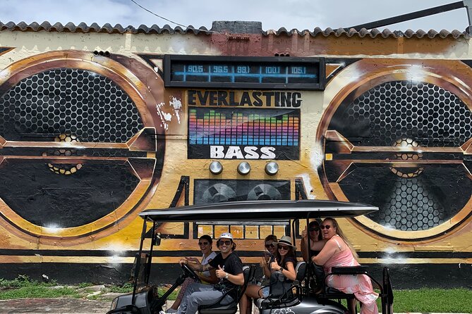 Wynwood Street Art Tour - Artist Lead -VIP Cart - Meet the Artist Guides Behind the Murals