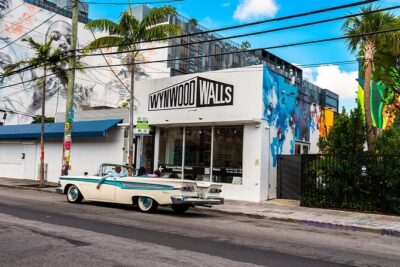 Wynwood Walls Admission and Neighborhood Buggy Experience - Wynwood Walls Admission: Access to Major Art Spaces, Not a Guided Walkthrough